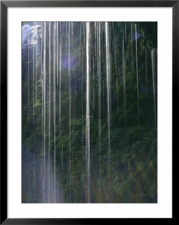 Dripping Water At Grotto Falls, Montana by Ryan Ross Pricing Limited Edition Print image