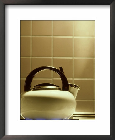 Boiling Kettle Heated By Natural Gas by David M. Dennis Pricing Limited Edition Print image