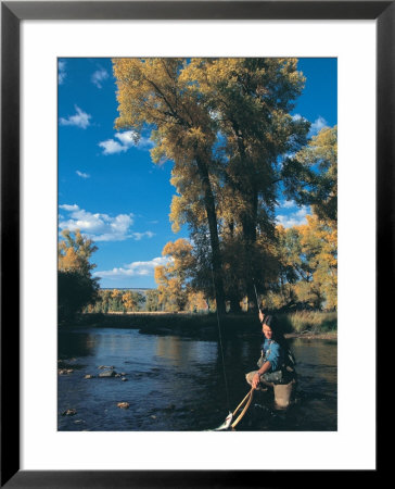 Woman Fly Fishing In Co, Holding Fish by Paul Gallaher Pricing Limited Edition Print image