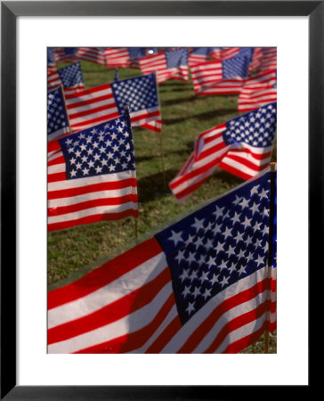 Grassy Field With American Flags Stuck In Ground by Kevin Leigh Pricing Limited Edition Print image