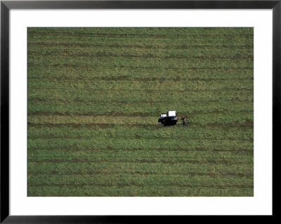 Tractor Raking Hay, Houghton, Mi by Jim Wark Pricing Limited Edition Print image