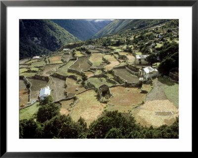 Terraced Fields And Sherpa Houses Pangboche, Nepal by Paul Franklin Pricing Limited Edition Print image