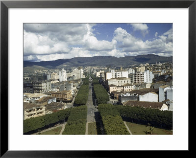View Of Belo Horizonte's Beautiful Tree-Lined Afonso Pena Avenue by W. Robert Moore Pricing Limited Edition Print image