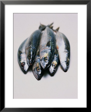 Mackerels, High In Omega 3 Oil by Peter Johansky Pricing Limited Edition Print image