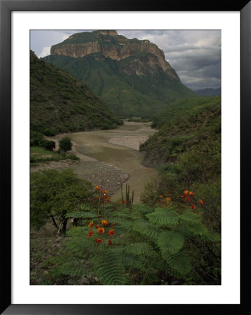 Butte In Batopilas Canyon In Mexico's Copper Canyon Region, Chihuahua State, Mexico by Phil Schermeister Pricing Limited Edition Print image