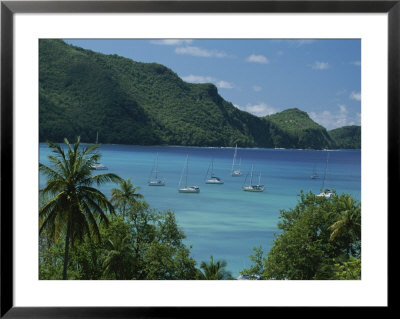 Sailboats Float In Azure Water Surrounded By Green Hills And Palms by Michael Melford Pricing Limited Edition Print image
