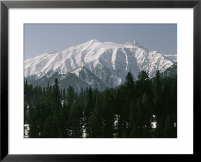 An Evergreen Forest And Snow-Covered Sunset Peak In Kashmir, India by Gordon Wiltsie Pricing Limited Edition Print image