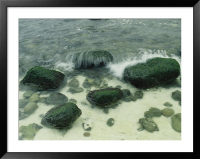 Surf Splashing On Beach Stones, Jasmund National Park, Germany by Norbert Rosing Pricing Limited Edition Print image