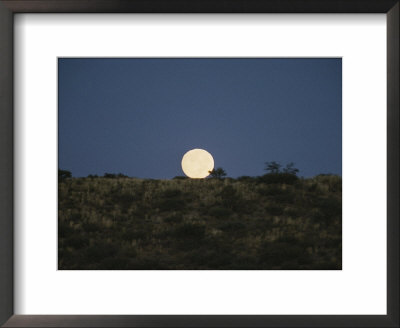 The Moon Shines Over A Landscape by Nicole Duplaix Pricing Limited Edition Print image