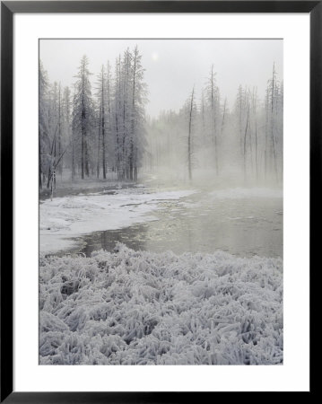 Winter View Of A Wetlands In The Park by Bobby Model Pricing Limited Edition Print image