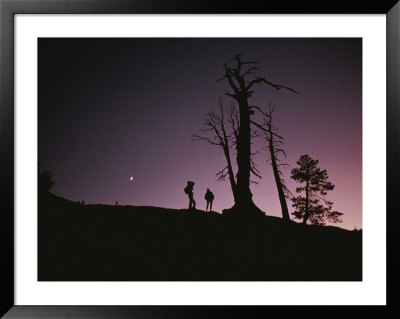 Two Tourists Standing By Trees Are Silhouetted Against A Night Sky by Randy Olson Pricing Limited Edition Print image