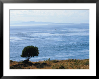 A Scenic Water View From Atop A Hill by Raymond Gehman Pricing Limited Edition Print image
