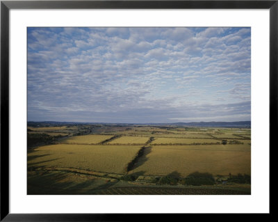 Aerial Of Yarra Valley Farmland by Jason Edwards Pricing Limited Edition Print image
