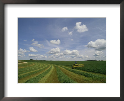 An Soybean Field Is Harvested In Minnesota by Annie Griffiths Belt Pricing Limited Edition Print image