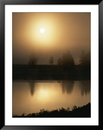 Silhouetted Trees Along The Yellowstone River At Sunrise by Tom Murphy Pricing Limited Edition Print image