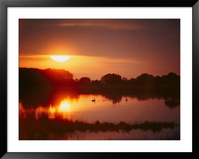 Sunset Over Black Duck Pond by Al Petteway Pricing Limited Edition Print image