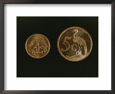 Indigenous Wildlife Adorns South Africas Coinage by Tino Soriano Pricing Limited Edition Print image