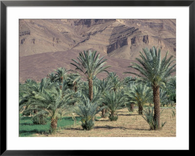 Palmery Below Mountains, Morocco by John & Lisa Merrill Pricing Limited Edition Print image
