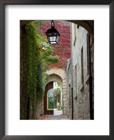 Alley To Garden, Languedoc-Roussillon, France by Lisa S. Engelbrecht Pricing Limited Edition Print image