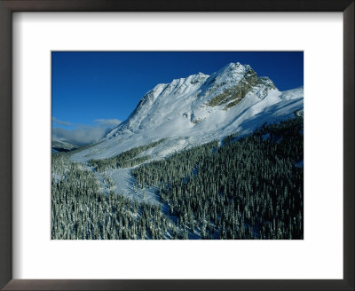 Winter View Of Athabasca Pass by Maria Stenzel Pricing Limited Edition Print image