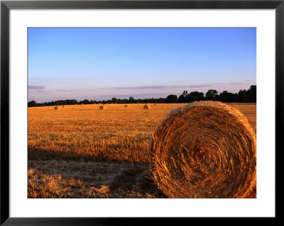 Rolls Of Straw In Fields Along Highway 26, Georgia, Usa by Oliver Strewe Pricing Limited Edition Print image