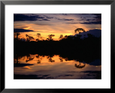 Sunset Over Lagoons Of Cuyabeno In The Ecuadorian Amazon Basin, Cuyabeno Fauna Reserve, Ecuador by Alfredo Maiquez Pricing Limited Edition Print image