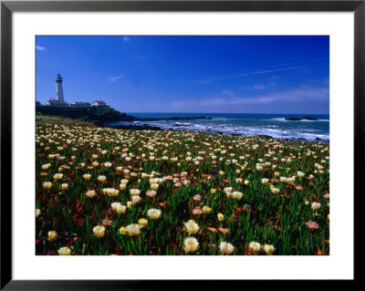 Pigeon Point Lighthouse Of San Mateo County, With Wildflowers In Foreground, Sacramento, Usa by Brent Winebrenner Pricing Limited Edition Print image