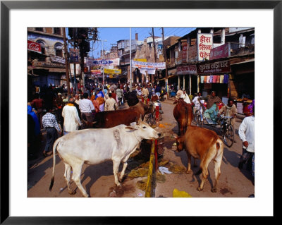 Human And Animal Traffic On Dasaswamedh Ghat Road, Varanasi, Uttar Pradesh, India by Richard I'anson Pricing Limited Edition Print image