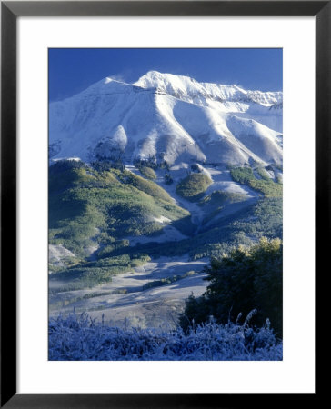 Snow, Trees And Mountains by William Swartz Pricing Limited Edition Print image