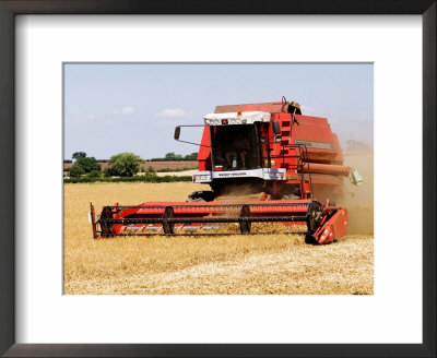 Combine Harvester Harvesting Crop, England by Martin Page Pricing Limited Edition Print image