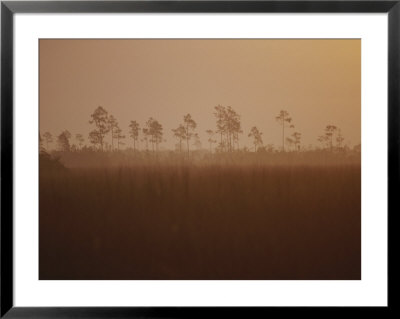 Sunrise In Everglades National Park by Raul Touzon Pricing Limited Edition Print image