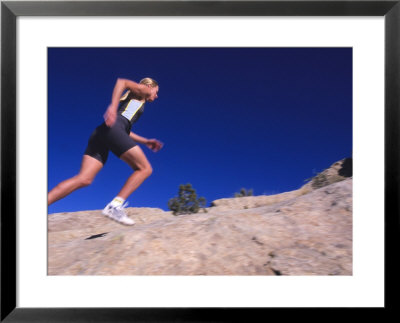 Running On Comb Ridge, Near Bluff, Utah by Bill Hatcher Pricing Limited Edition Print image