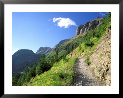 Highline Trail Traverses Under The Garden Wall, Glacier National Park, Montana, Usa by Jamie & Judy Wild Pricing Limited Edition Print image