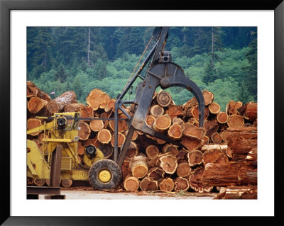 Logged Trees Being Moved At Wood Mill On Border Of Redwood National Park, Usa by Woods Wheatcroft Pricing Limited Edition Print image