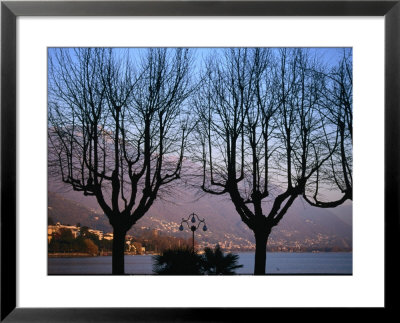 Bare Trees In Front Of Locarno And Lake Maggiore At Dusk, Locarno, Switzerland by Martin Moos Pricing Limited Edition Print image