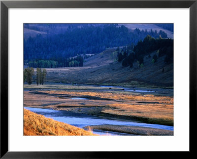 Lamar River Valley With Bison Crossing In Distance, Yellowstone National Park, U.S.A. by Christer Fredriksson Pricing Limited Edition Print image