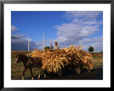 Laden Wagon Near Ivesti, Galati, Romania, by Diana Mayfield Pricing Limited Edition Print image