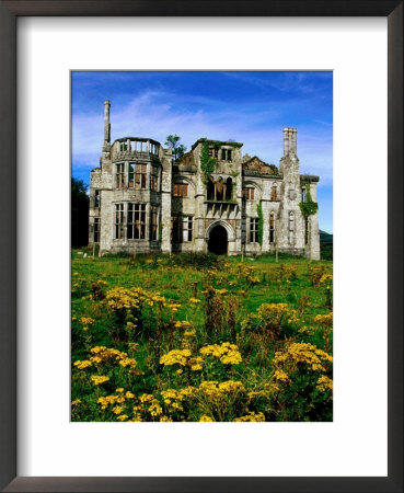 Dunboy Castle Ruins With Wildflowers In Foreground, Castletownbere, Ireland by Richard Cummins Pricing Limited Edition Print image