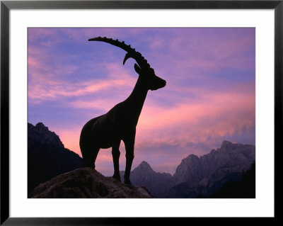 Statue Of Mythical Chamois Zlatrog At Sunrise In Pisnica Valley, Gorenjska, Slovenia by Grant Dixon Pricing Limited Edition Print image