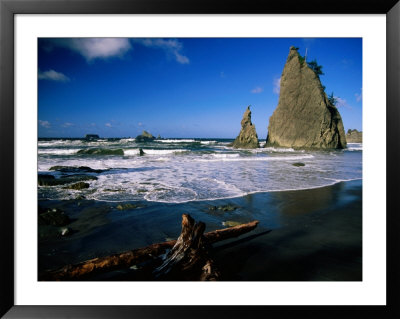Rialto Beach, Rock Formations And Driftwood In The Wet Sand In Olympic National Park, Washington by Mark Newman Pricing Limited Edition Print image