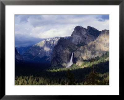 Pine Tree-Lined Valley And Grey Granite Walls Of Discovery View, Yosemite National Park, California by Curtis Martin Pricing Limited Edition Print image