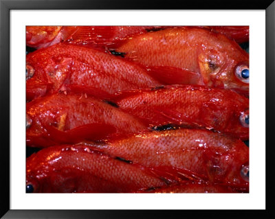 Fish At Tsukji Fish Market, Tokyo, Japan by Chris Mellor Pricing Limited Edition Print image