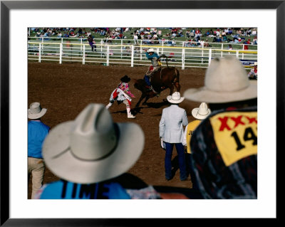 Overhead Of Bull Rider From The Stands Of A Rodeo, Mt. Isa, Australia by Michael Coyne Pricing Limited Edition Print image