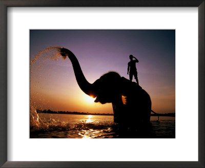 Elephant Bathing With It's Mahout In The Rapti River, Royal Chitwan National Park, Sauraha, Nepal by Andrew Parkinson Pricing Limited Edition Print image