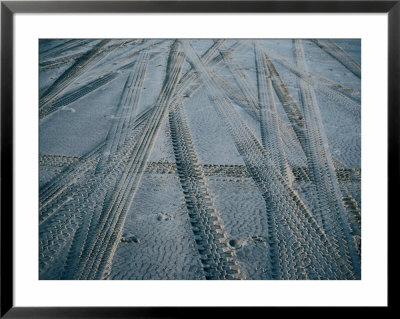 4Wd Tracks On Sand, Fraser Island, Queensland, Australia by Tony Wheeler Pricing Limited Edition Print image