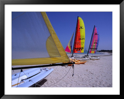Boats On Beach, Dubai, United Arab Emirates by Phil Weymouth Pricing Limited Edition Print image