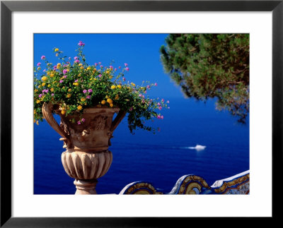 Flowers In Bloom On Terrace Of Hotel San Pietro, Positano, Italy by Dallas Stribley Pricing Limited Edition Print image