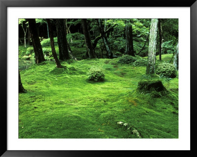 Moss Temple (Kokedera, Saihoji), Kyoto, Japan by Rob Tilley Pricing Limited Edition Print image