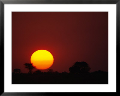 African Sunset by Beverly Joubert Pricing Limited Edition Print image