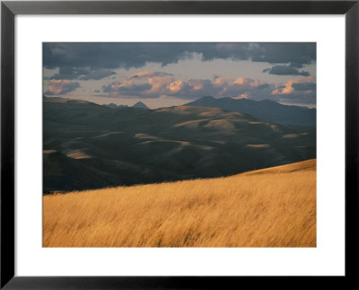 Prairie Grass, Mountains And A Dramatic Sky Create A Scenic View by Skip Brown Pricing Limited Edition Print image